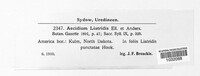 Image Associated With the Occurence